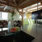Rent 1 bedroom apartment of 100 m² in stuttgart