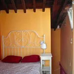 Rent 1 bedroom apartment of 50 m² in Malaga']