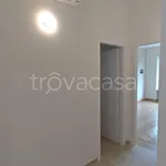 Rent 3 bedroom apartment of 68 m² in Torino