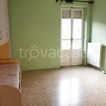 Rent 2 bedroom apartment of 45 m² in Torino