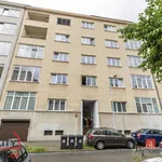 Rent 1 bedroom apartment in Brno