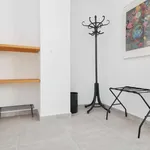 Rent 1 bedroom apartment in Milan