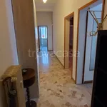 Rent 3 bedroom apartment of 80 m² in Bologna