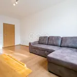 Rent 2 bedroom apartment of 60 m² in Capital City of Prague