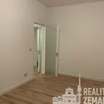 Pronajměte si 2 ložnic/e byt o rozloze 47 m² v Prague