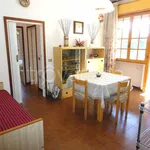 Rent 2 bedroom apartment of 62 m² in Cervia