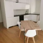 Rent 3 bedroom apartment of 100 m² in Verona