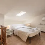 Rent 1 bedroom apartment in Florence