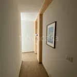 Rent 4 bedroom apartment of 155 m² in Bisceglie