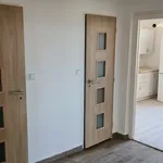 Rent 3 bedroom apartment in Ostrava