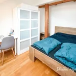 Rent 3 bedroom apartment of 58 m² in Brno