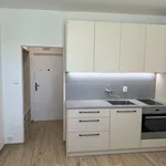 Rent 1 bedroom apartment in Znojmo