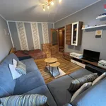 Rent 1 bedroom apartment of 42 m² in Karviná