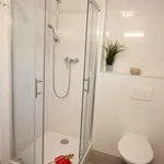 Rent 1 bedroom apartment in Vyškov