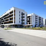 Rent 2 bedroom apartment of 69 m² in České Budějovice