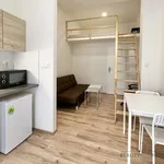 Rent 1 bedroom apartment of 23 m² in Brno