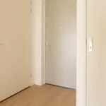 Huur 2 slaapkamer appartement van 56 m² in Stationskwartier