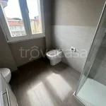 Rent 5 bedroom apartment of 100 m² in Camaiore