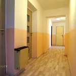 Rent 3 bedroom apartment in Sokolov