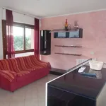 Rent 4 bedroom apartment of 104 m² in Pisa