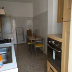 Rent 1 bedroom apartment of 55 m² in Roma