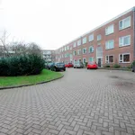 Huur 4 slaapkamer appartement van 95 m² in Middenmeer