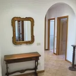 Rent 4 bedroom apartment of 90 m² in Bologna