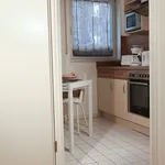 Rent 1 bedroom apartment of 40 m² in Munich