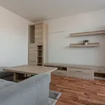 Rent 2 bedroom apartment of 53 m² in Modřice