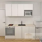 Rent 2 bedroom apartment of 44 m² in Příbram