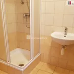 Rent 1 bedroom apartment of 44 m² in České Budějovice