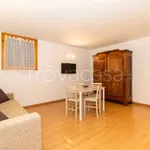 Rent 2 bedroom apartment of 40 m² in Torino