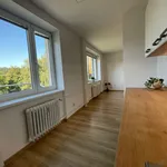 Rent 1 bedroom apartment in Ostrava