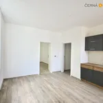 Pronajměte si 2 ložnic/e byt o rozloze 40 m² v Ústí nad Labem