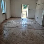 Rent 2 bedroom house of 50 m² in Velletri