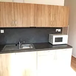 Rent 2 bedroom apartment in Chrudim