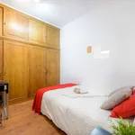 Rent a room in madrid