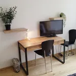 Rent 1 bedroom apartment of 24 m² in Dresden