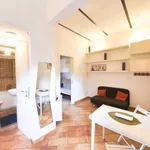 Rent 1 bedroom apartment in rome