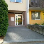 Rent 3 bedroom apartment of 1 m² in Brno