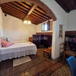 Rent 3 bedroom apartment of 60 m² in Pisa