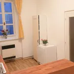 Rent 1 bedroom apartment in Praha 8