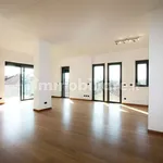 Rent 5 bedroom house of 253 m² in Turin