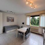 Rent 1 bedroom apartment of 55 m² in Como