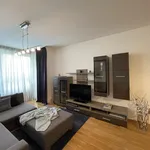 Rent 1 bedroom apartment of 50 m² in Prague