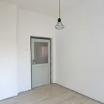 Rent 3 bedroom apartment of 63 m² in Písek