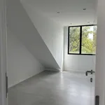 Rent 3 bedroom apartment in Brussels