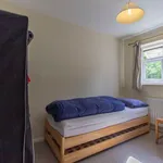 Rent 1 bedroom house in Chelmsford