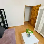 Rent a room in poznan