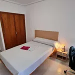 Rent 5 bedroom apartment in valencia